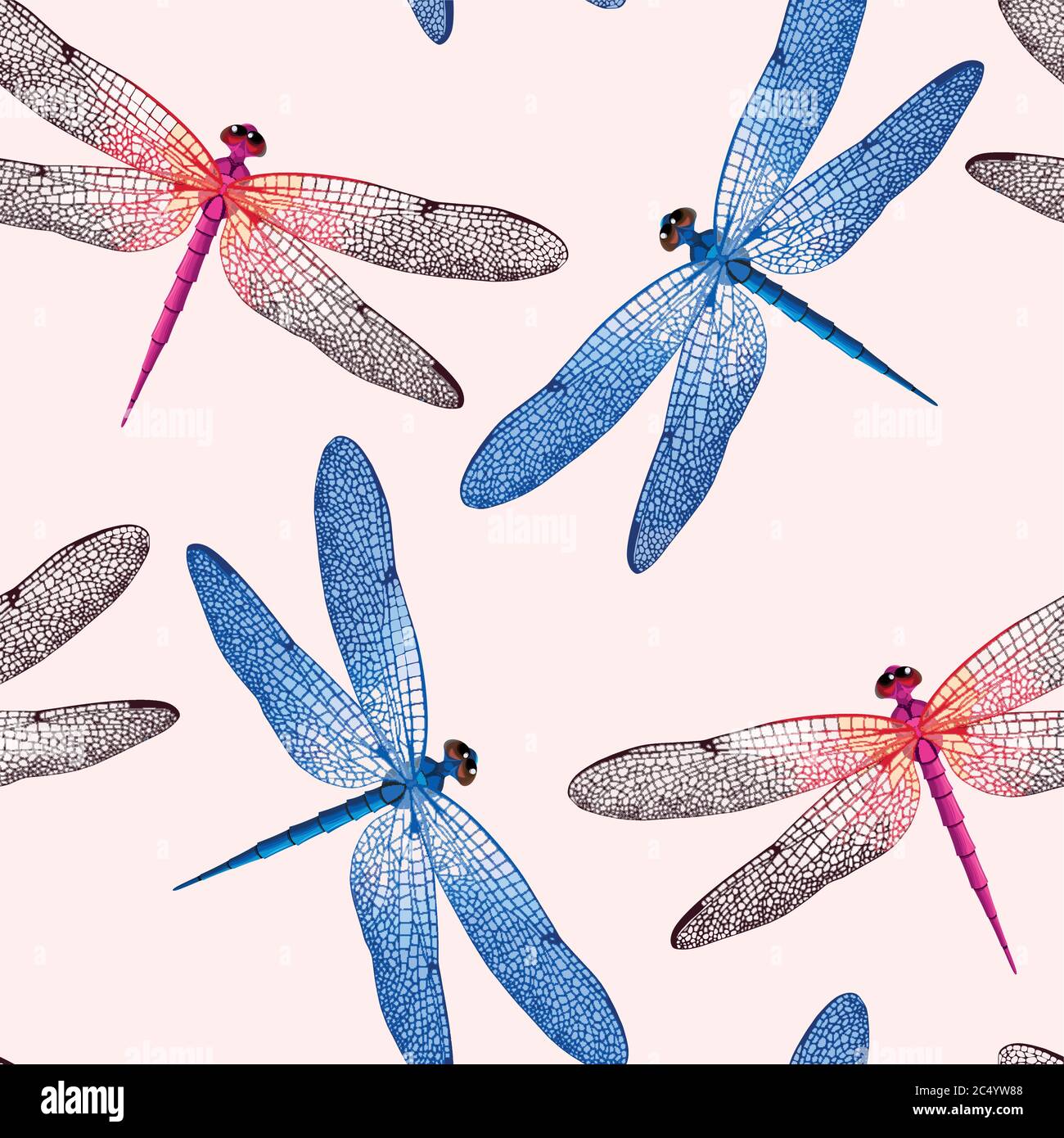 Detail Dragonfly Background Images Nomer 11