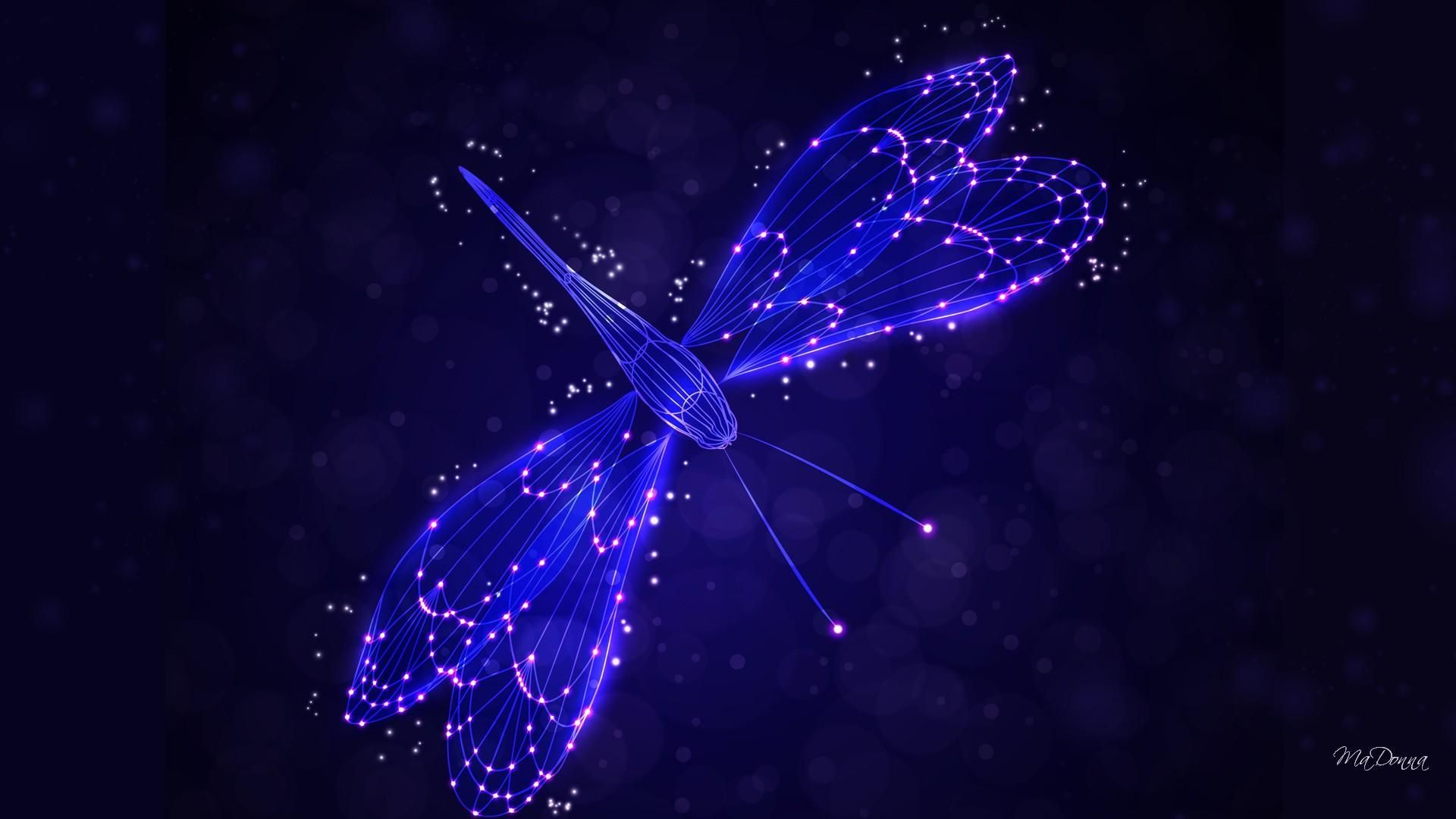 Detail Dragonfly Background Images Nomer 14