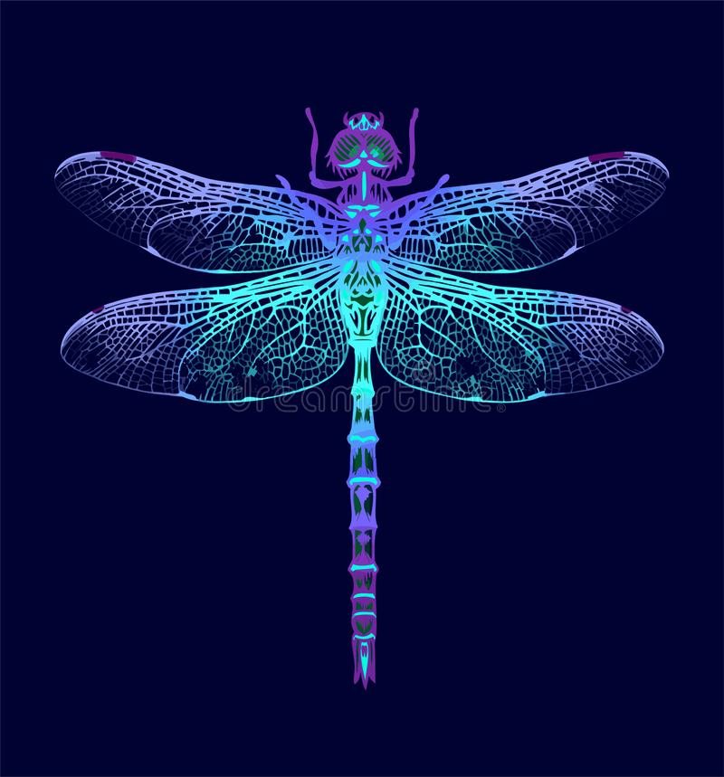 Detail Dragonfly Background Images Nomer 17