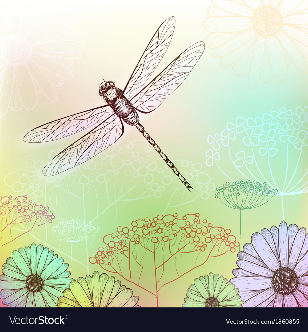 Detail Dragonfly Background Images Nomer 20