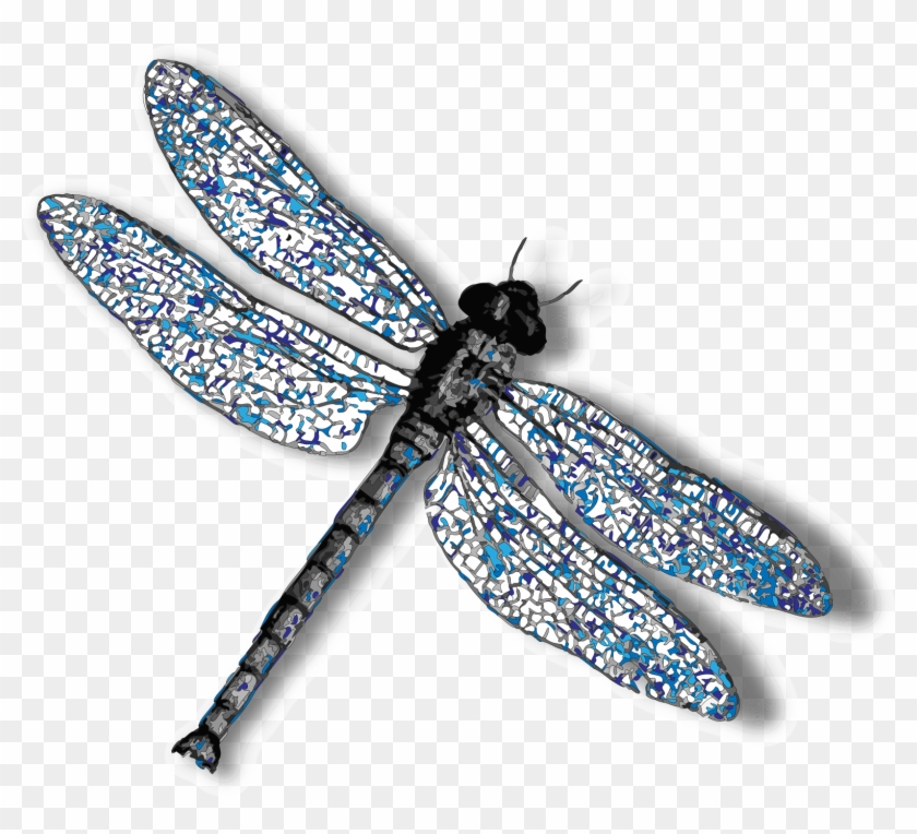 Detail Dragonfly Background Images Nomer 22