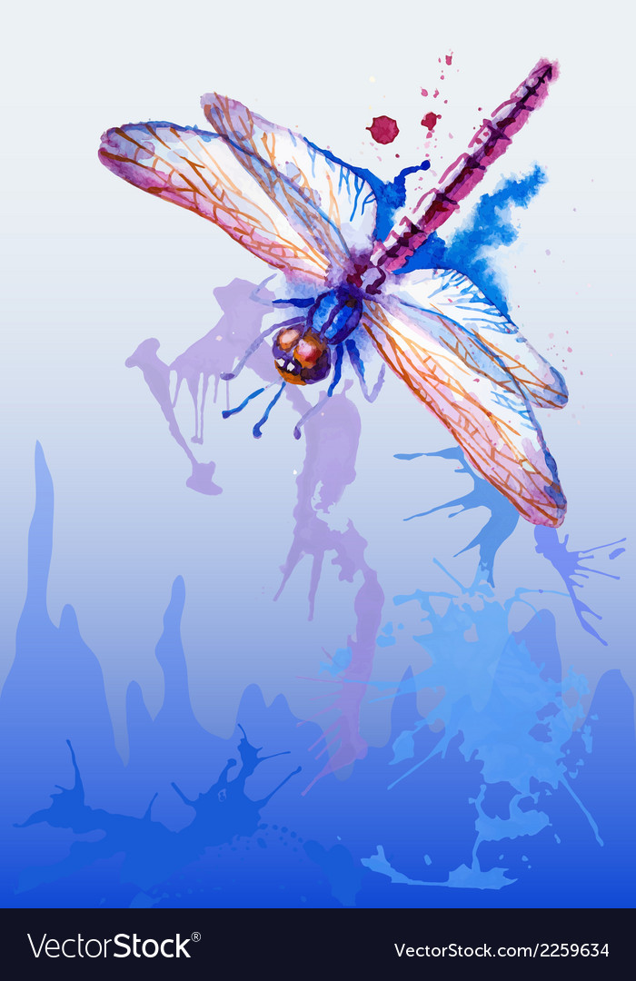 Detail Dragonfly Background Images Nomer 24