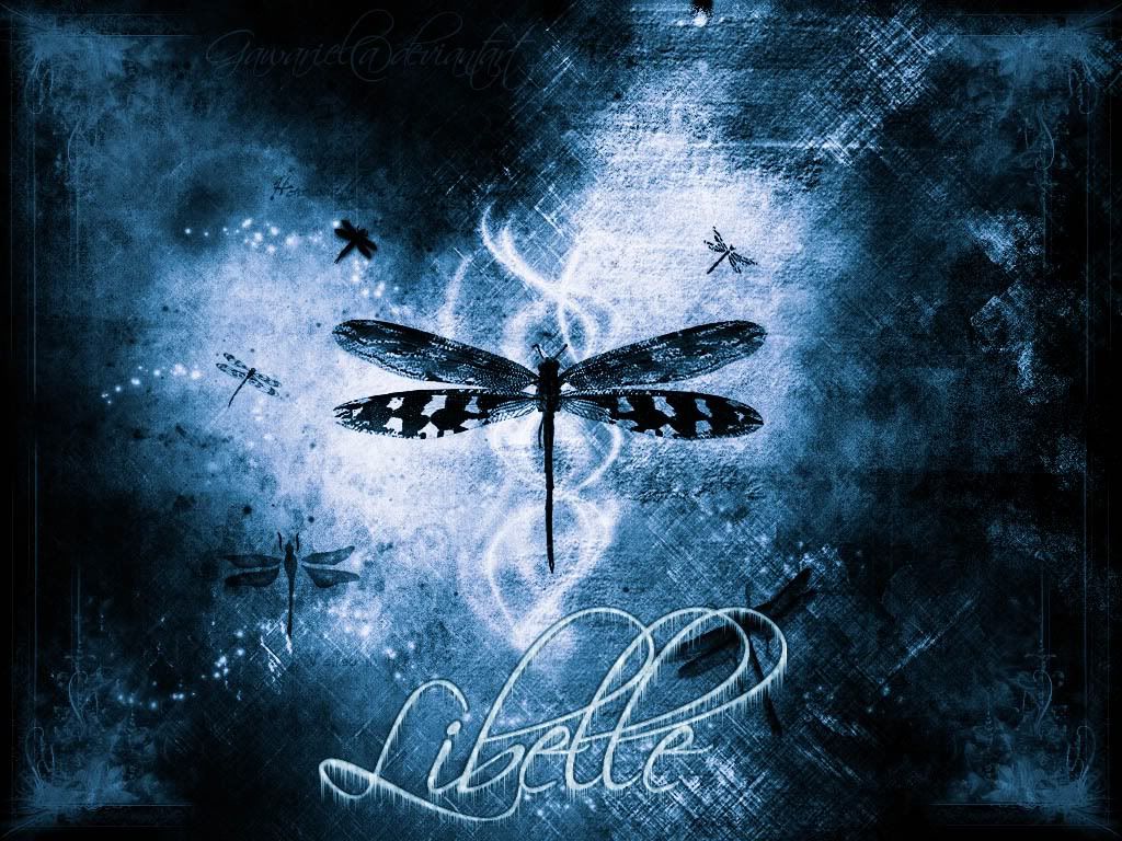 Detail Dragonfly Background Images Nomer 4