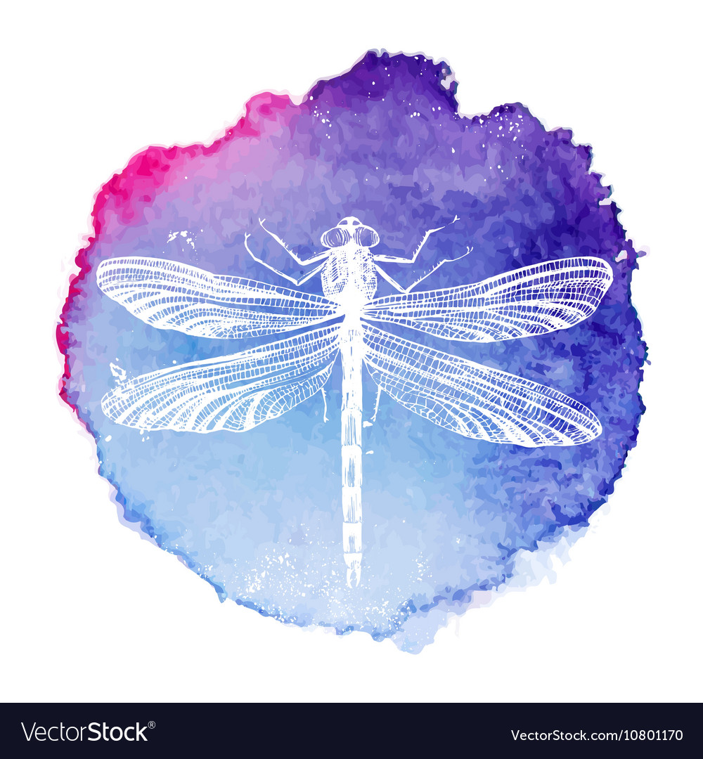 Detail Dragonfly Background Images Nomer 31