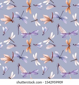 Detail Dragonfly Background Images Nomer 32