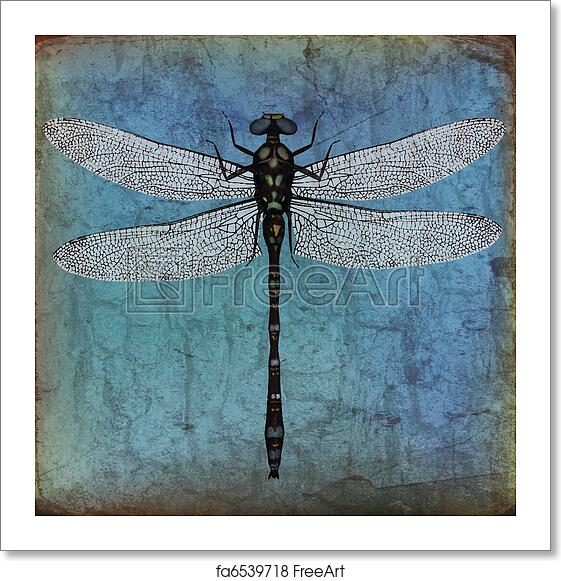 Detail Dragonfly Background Images Nomer 40