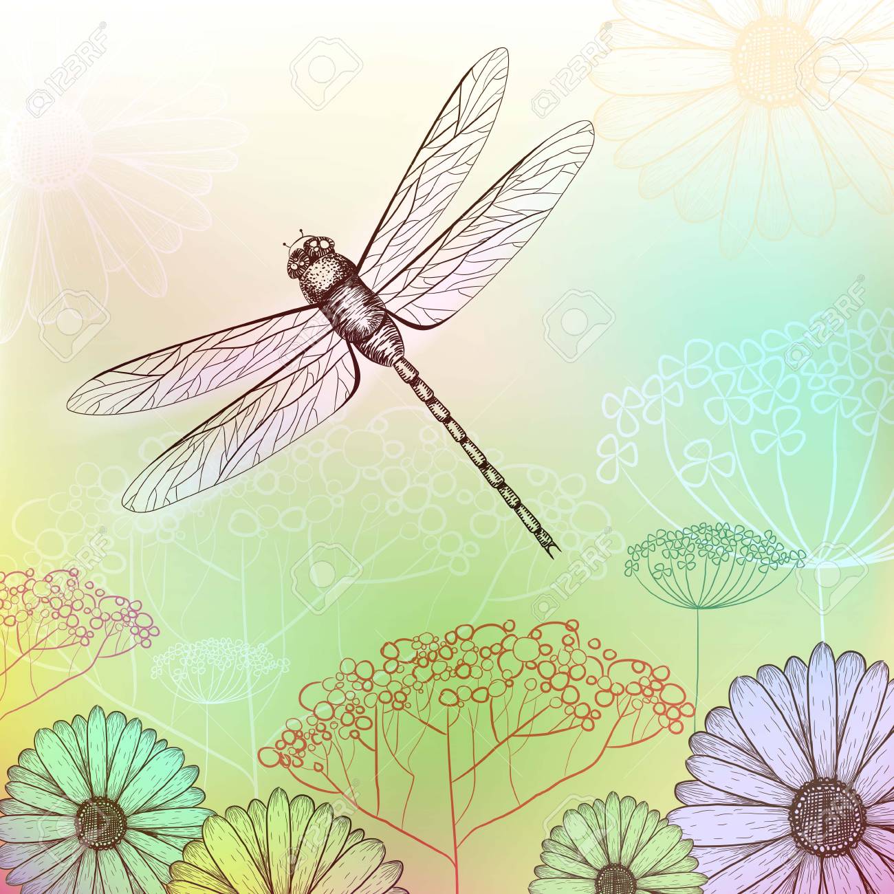 Detail Dragonfly Background Images Nomer 6