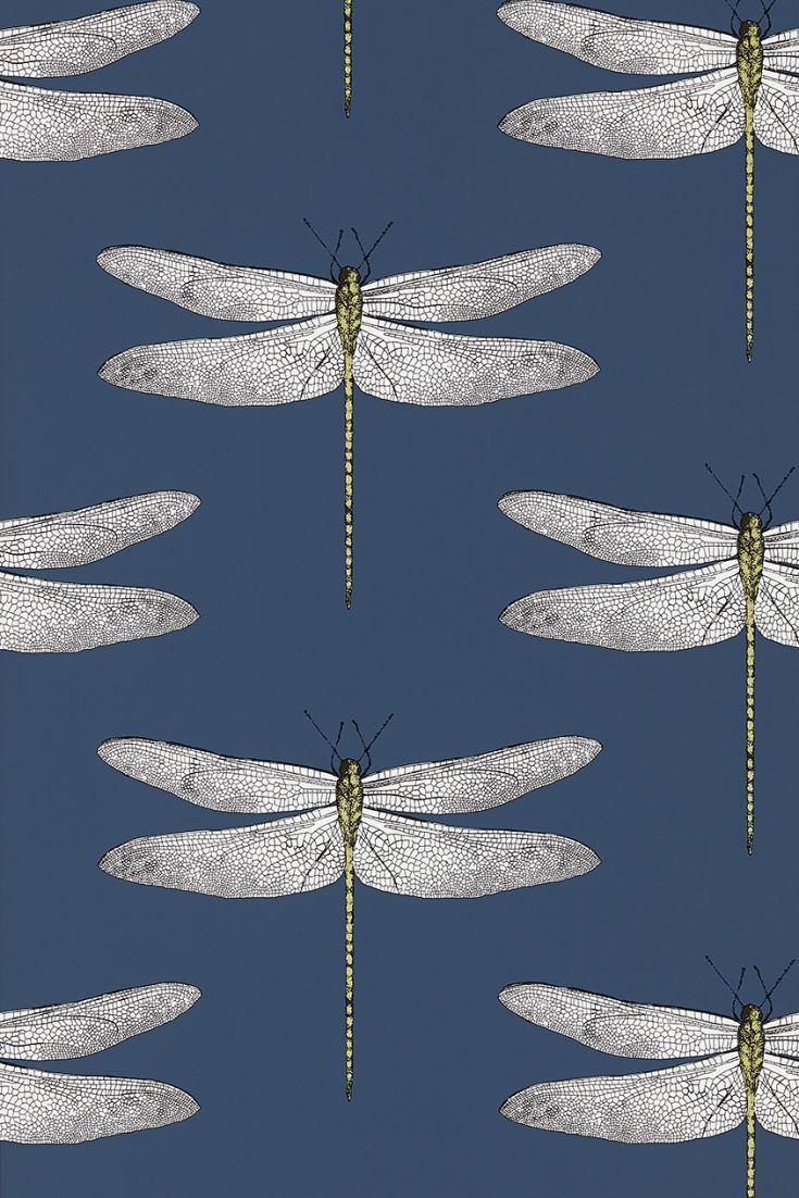 Detail Dragonfly Background Images Nomer 49