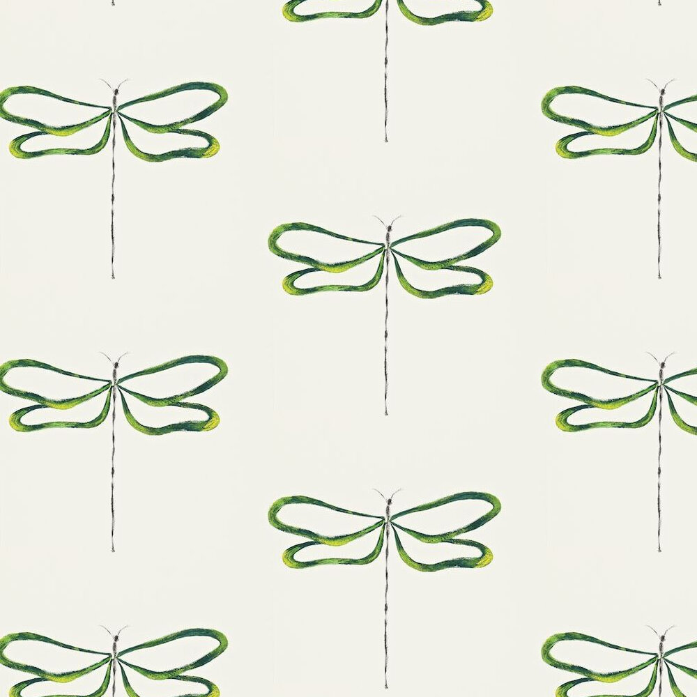 Detail Dragonfly Background Images Nomer 53
