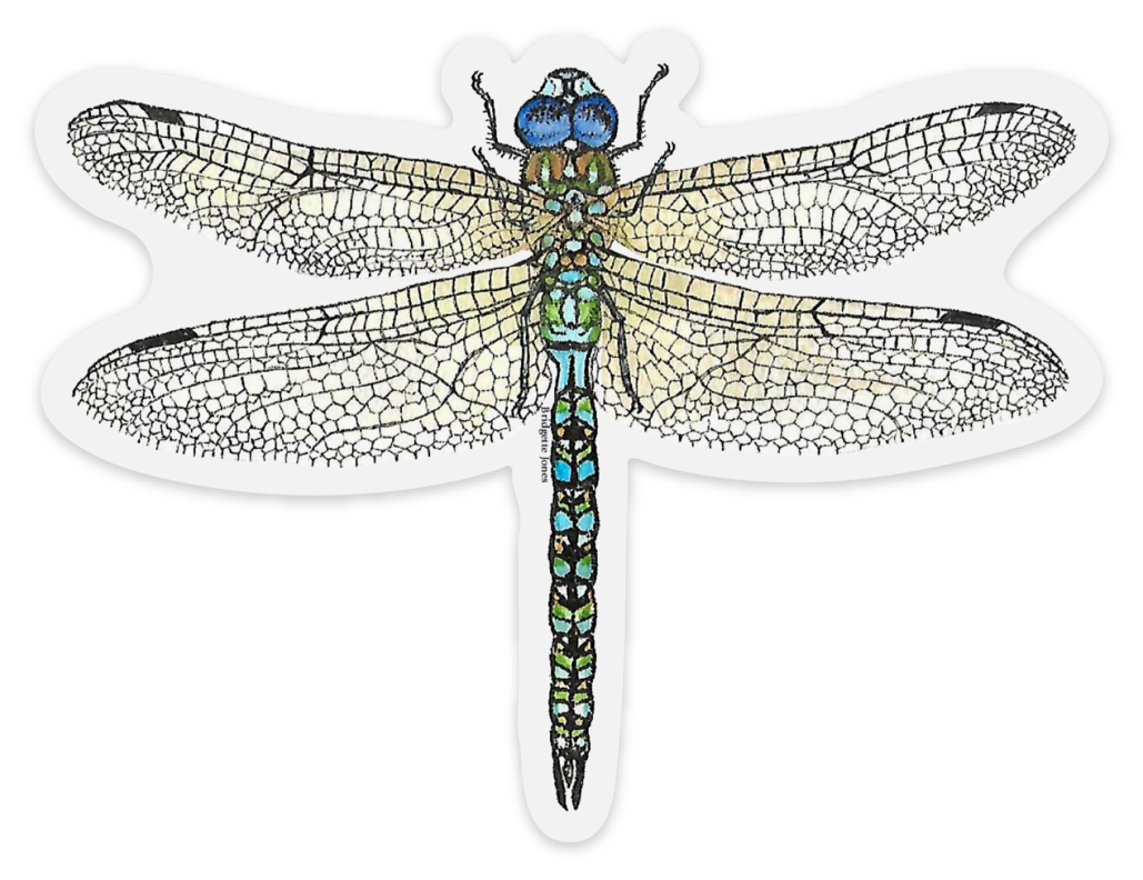 Detail Dragonfly Car Sticker Nomer 33