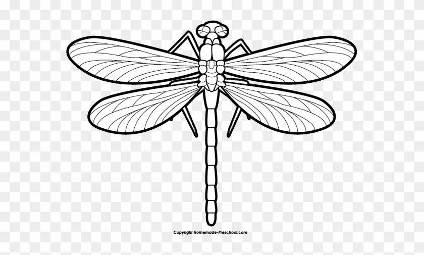 Detail Dragonfly Clipart Free Nomer 20