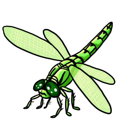 Detail Dragonfly Clipart Free Nomer 25