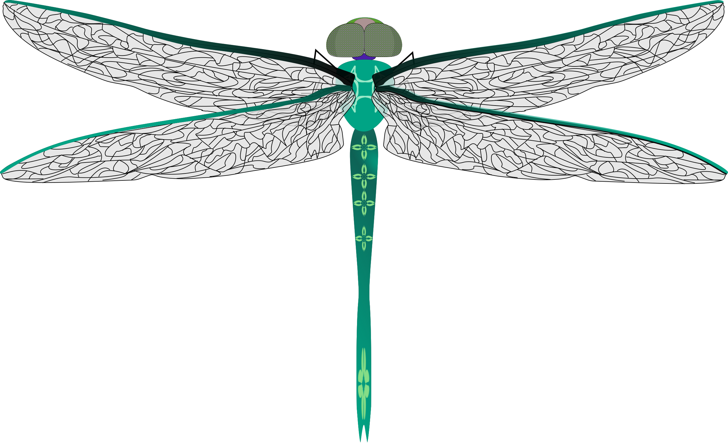 Detail Dragonfly Clipart Free Nomer 44