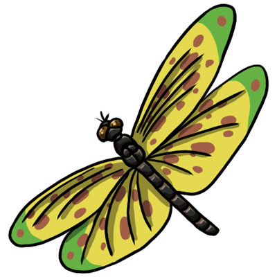 Detail Dragonfly Clipart Free Nomer 45