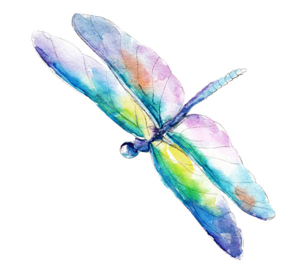 Detail Dragonfly Clipart Free Nomer 7