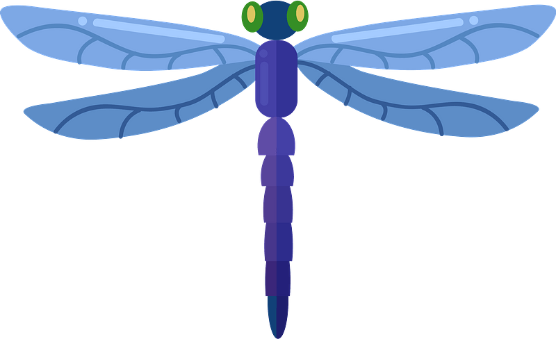 Detail Dragonfly Clipart Png Nomer 22