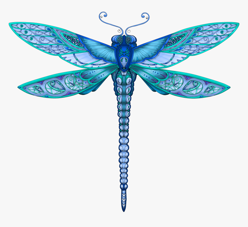 Detail Dragonfly Clipart Png Nomer 26