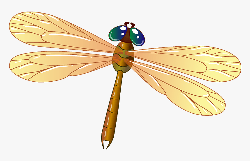 Detail Dragonfly Clipart Png Nomer 4