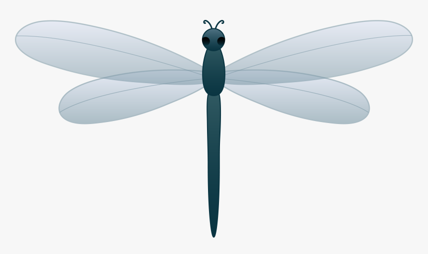 Detail Dragonfly Clipart Png Nomer 32