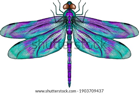 Detail Dragonfly Clipart Png Nomer 33