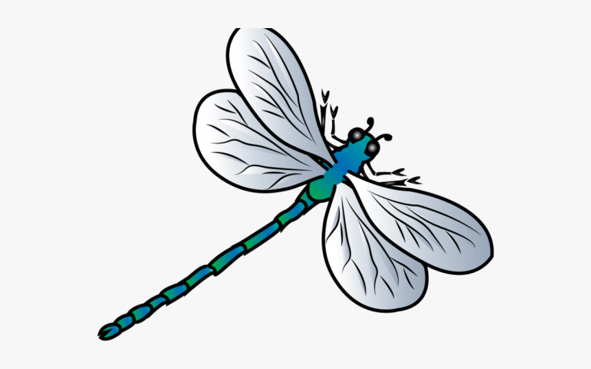 Detail Dragonfly Clipart Png Nomer 5