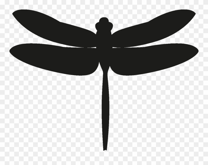 Detail Dragonfly Clipart Png Nomer 43