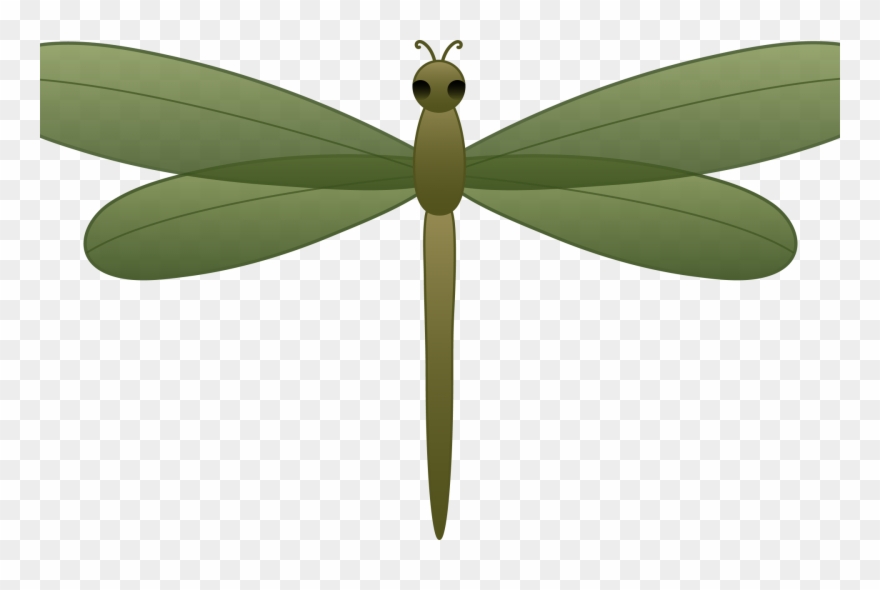 Detail Dragonfly Clipart Png Nomer 44