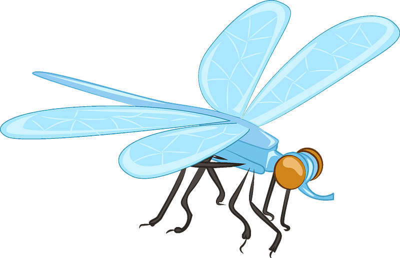 Detail Dragonfly Clipart Png Nomer 46