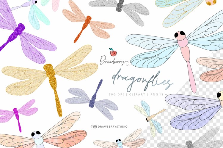 Detail Dragonfly Clipart Png Nomer 55