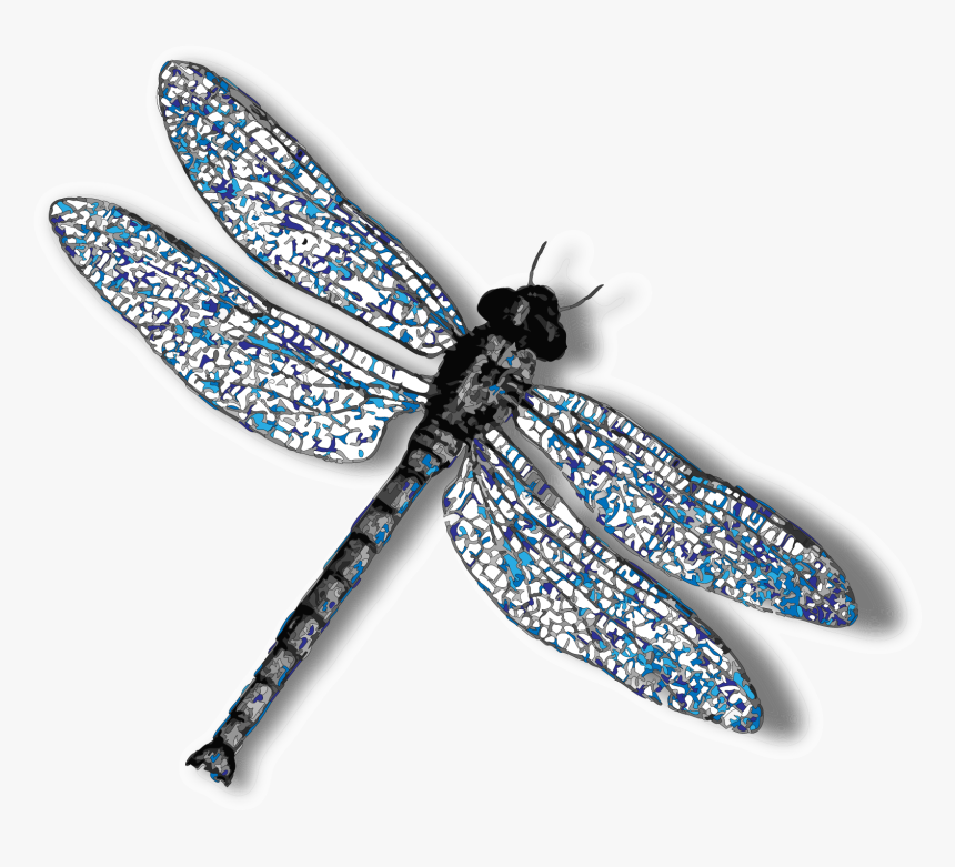 Detail Dragonfly Download Nomer 13