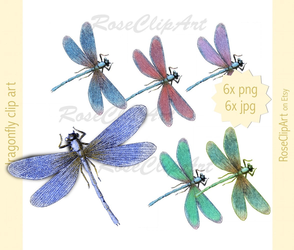 Detail Dragonfly Download Nomer 19