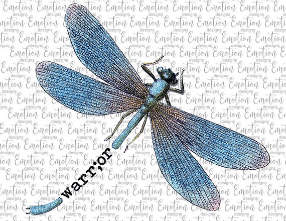 Detail Dragonfly Download Nomer 24