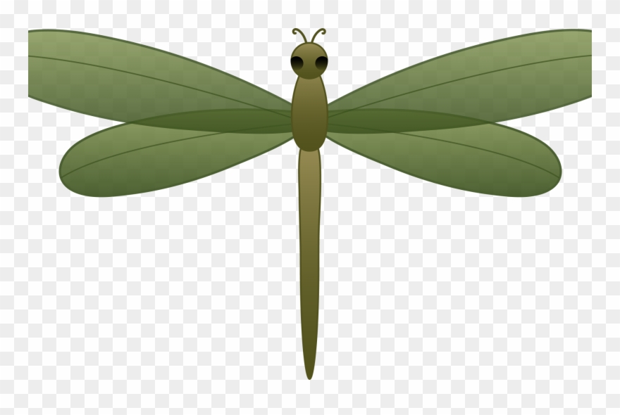 Detail Dragonfly Download Nomer 26