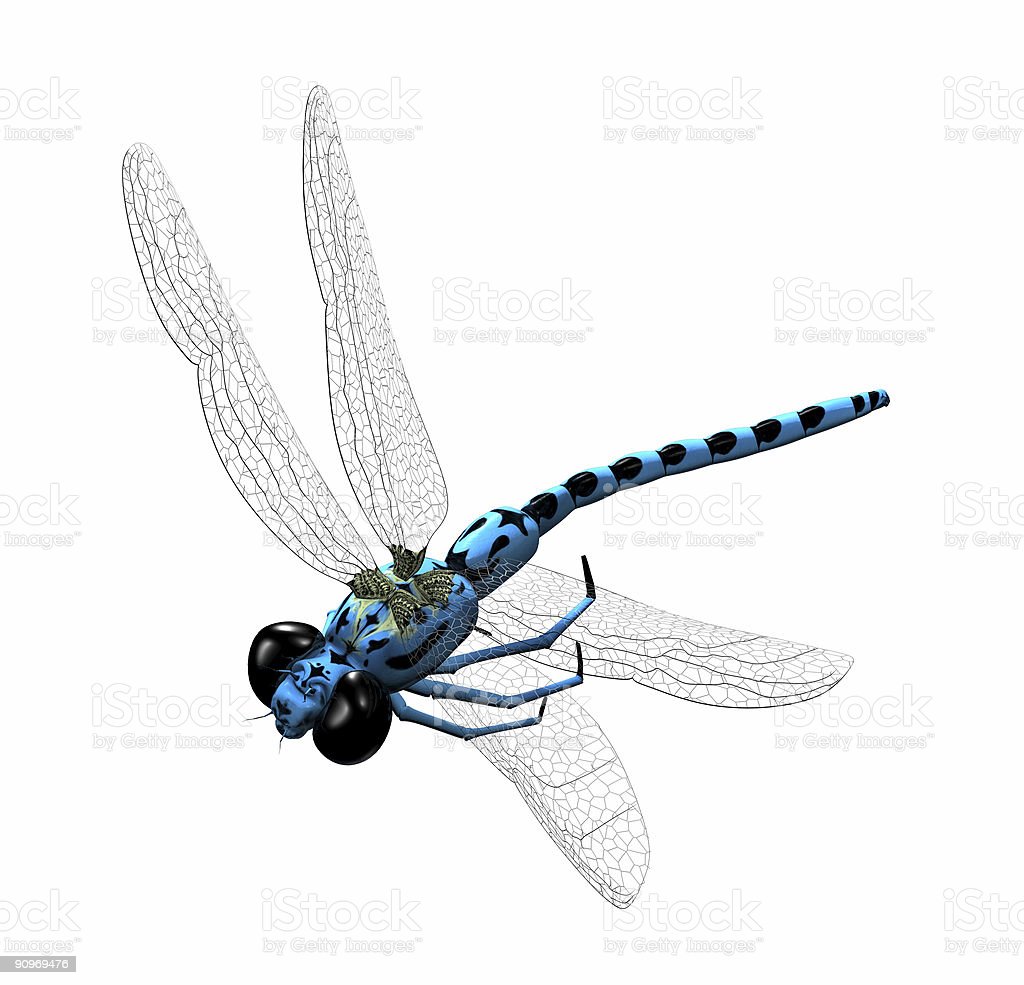 Detail Dragonfly Download Nomer 42