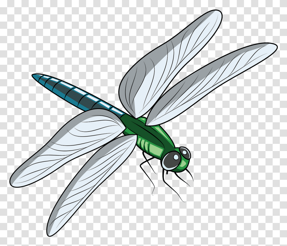 Detail Dragonfly Download Nomer 51