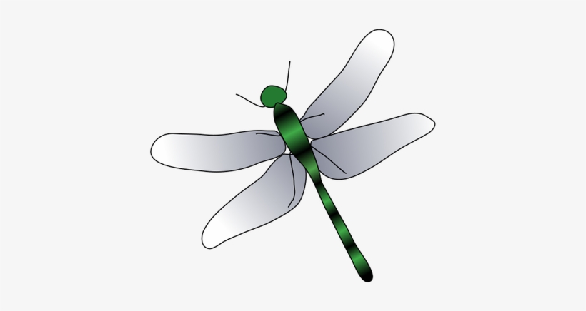 Detail Dragonfly Download Nomer 53