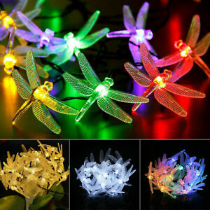 Detail Dragonfly Fairy Lights Nomer 23