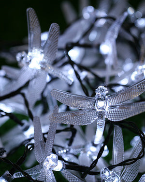 Detail Dragonfly Fairy Lights Nomer 50