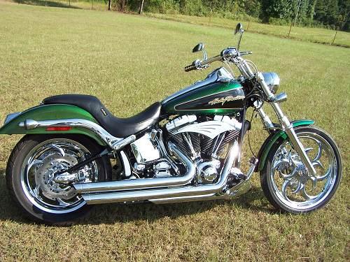 Detail Dragonfly Green Harley Nomer 9