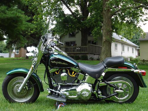 Detail Dragonfly Green Harley Nomer 13