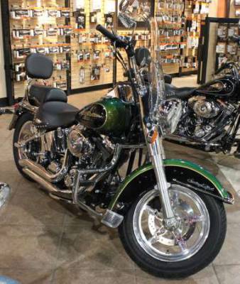 Detail Dragonfly Green Harley Nomer 14