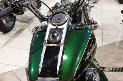 Detail Dragonfly Green Harley Nomer 16