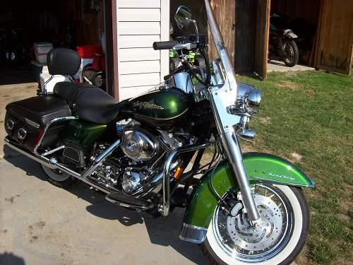 Detail Dragonfly Green Harley Nomer 18