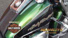 Detail Dragonfly Green Harley Nomer 21