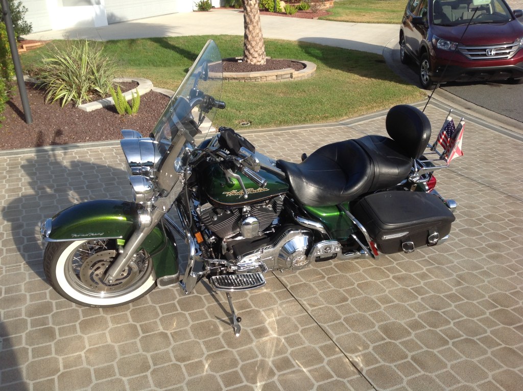 Detail Dragonfly Green Harley Nomer 22