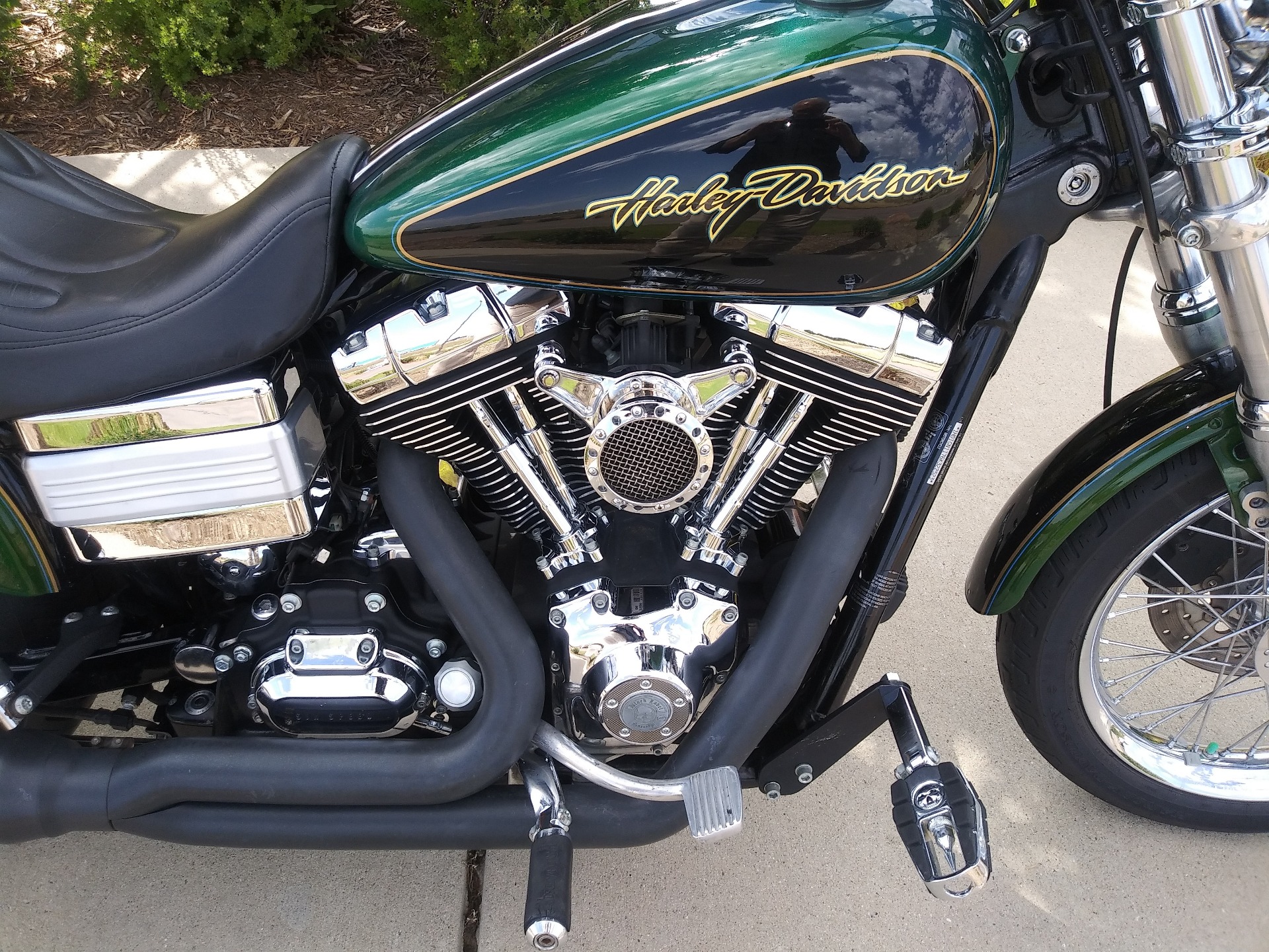 Detail Dragonfly Green Harley Nomer 24