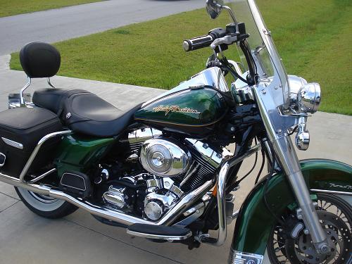 Detail Dragonfly Green Harley Nomer 25