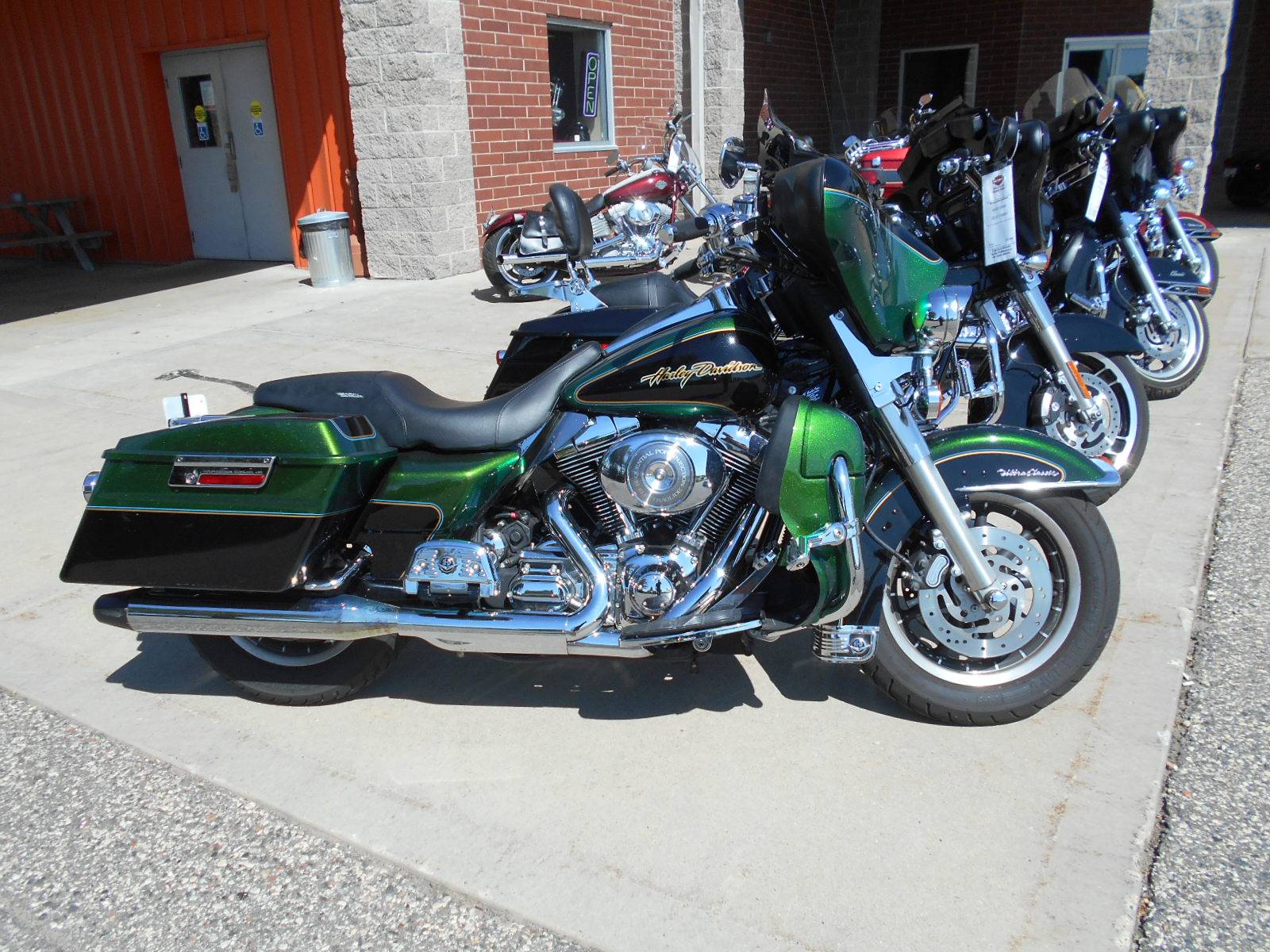 Detail Dragonfly Green Harley Nomer 26