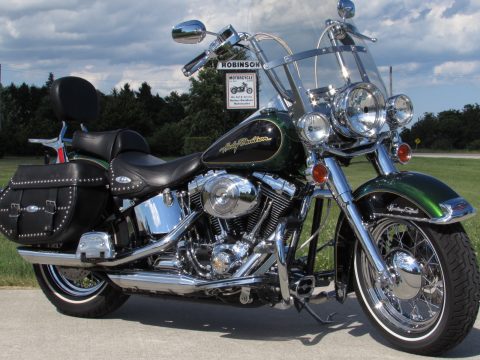 Detail Dragonfly Green Harley Nomer 27