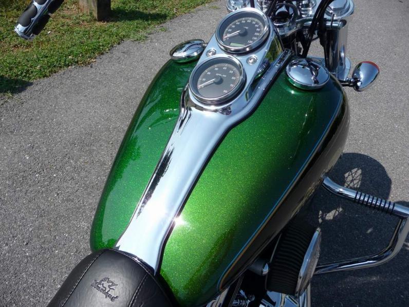 Detail Dragonfly Green Harley Nomer 3